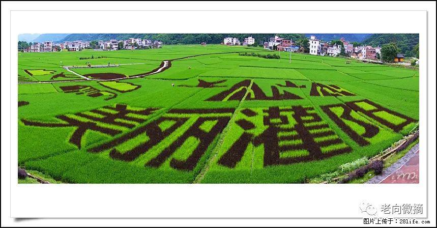 【春天,广西桂林灌阳县向您发出邀请!】开篇 - 游山玩水 - 馆陶生活社区 - 馆陶28生活网 guantao.28life.com