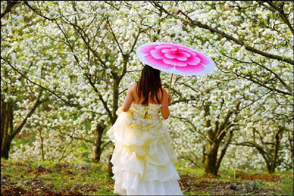 【春天,广西桂林灌阳县向您发出邀请!】我们在灌阳看梨花 - 游山玩水 - 馆陶生活社区 - 馆陶28生活网 guantao.28life.com