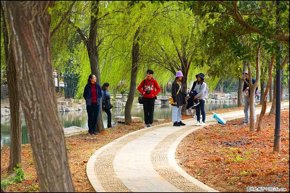 【春天，广西桂林灌阳县向您发出邀请！】江口老街又逢春 - 游山玩水 - 馆陶生活社区 - 馆陶28生活网 guantao.28life.com