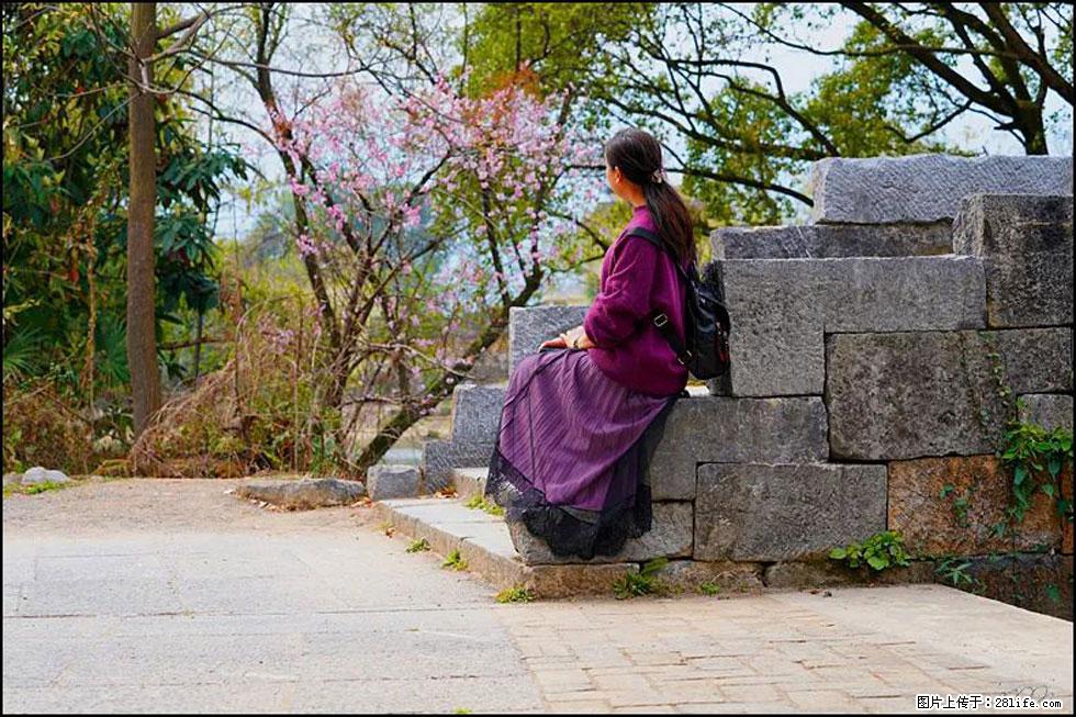 【春天，广西桂林灌阳县向您发出邀请！】江口老街又逢春 - 游山玩水 - 馆陶生活社区 - 馆陶28生活网 guantao.28life.com