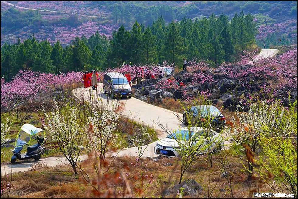 【春天,广西桂林灌阳县向您发出邀请!】望月岭上桃花开 - 游山玩水 - 馆陶生活社区 - 馆陶28生活网 guantao.28life.com