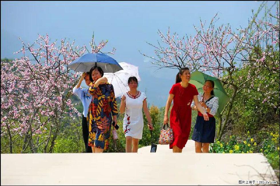 【春天,广西桂林灌阳县向您发出邀请!】望月岭上桃花开 - 游山玩水 - 馆陶生活社区 - 馆陶28生活网 guantao.28life.com