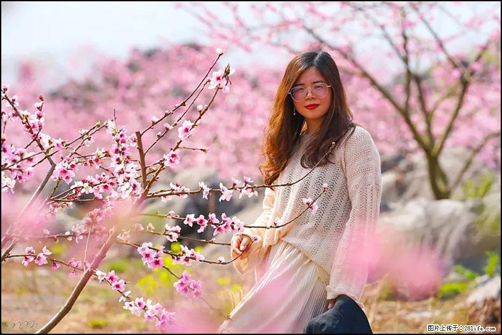 【春天,广西桂林灌阳县向您发出邀请!】望月岭上桃花开 - 游山玩水 - 馆陶生活社区 - 馆陶28生活网 guantao.28life.com