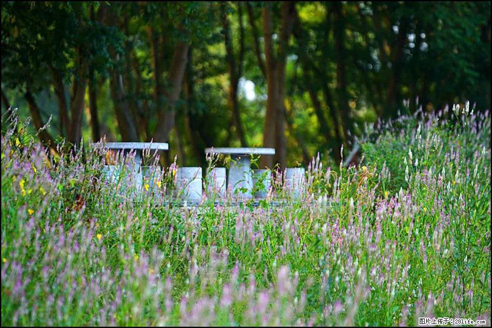 【春天，广西桂林灌阳县向您发出邀请！】熊家寨湿地公园 - 游山玩水 - 馆陶生活社区 - 馆陶28生活网 guantao.28life.com