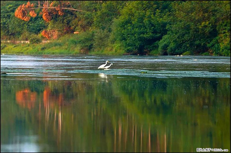 【春天，广西桂林灌阳县向您发出邀请！】熊家寨湿地公园 - 游山玩水 - 馆陶生活社区 - 馆陶28生活网 guantao.28life.com