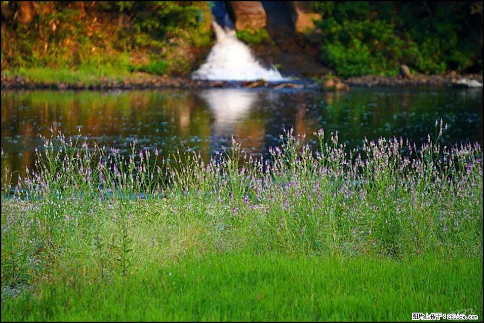 【春天，广西桂林灌阳县向您发出邀请！】熊家寨湿地公园 - 游山玩水 - 馆陶生活社区 - 馆陶28生活网 guantao.28life.com