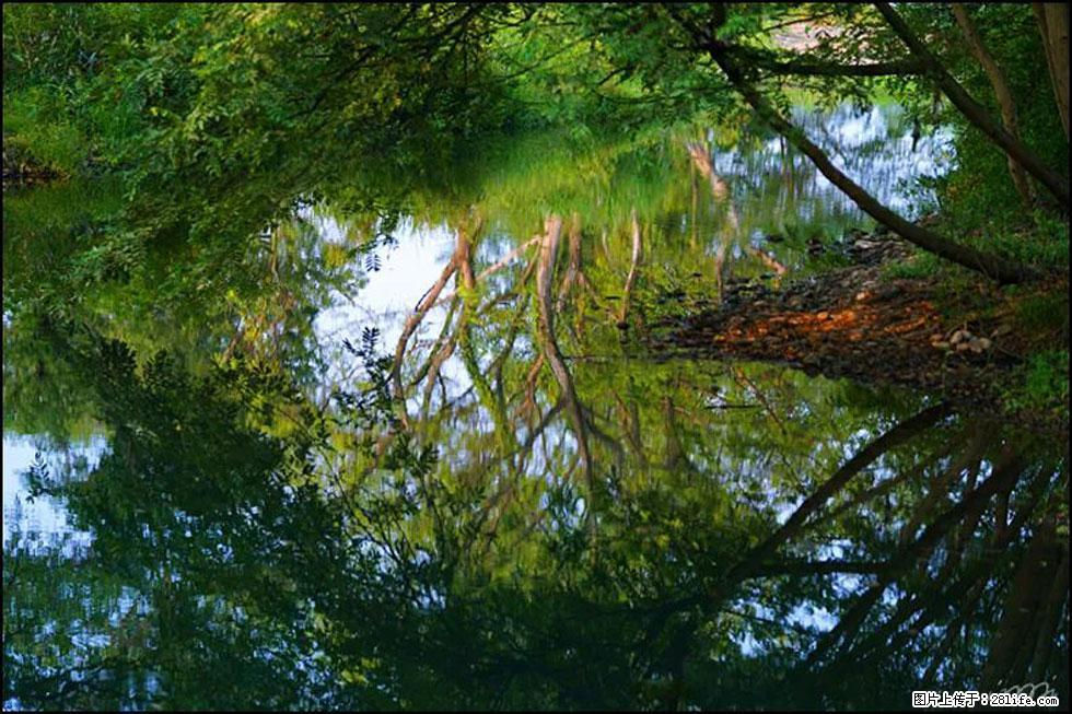 【春天，广西桂林灌阳县向您发出邀请！】熊家寨湿地公园 - 游山玩水 - 馆陶生活社区 - 馆陶28生活网 guantao.28life.com