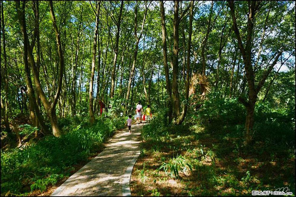 【春天，广西桂林灌阳县向您发出邀请！】熊家寨湿地公园 - 游山玩水 - 馆陶生活社区 - 馆陶28生活网 guantao.28life.com