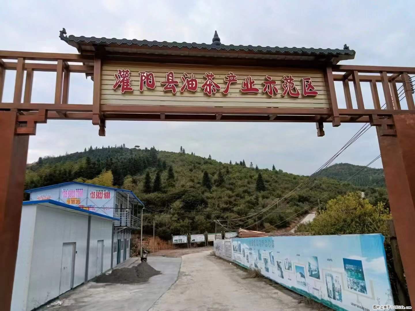 【灌阳县油茶产业示范区】一个有着充实的精神生活的人，对待身外之物自会有一种淡泊的态度 - 美食天地 - 馆陶生活社区 - 馆陶28生活网 guantao.28life.com