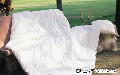 被子有异味？只要这样做，比晒太阳还强100倍！ - 家居生活 - 馆陶生活社区 - 馆陶28生活网 guantao.28life.com