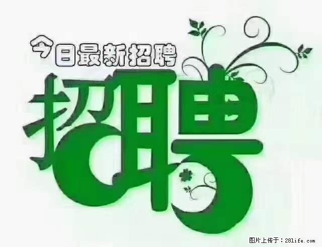 【招聘】产康师 - 职场交流 - 馆陶生活社区 - 馆陶28生活网 guantao.28life.com