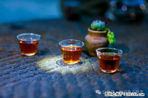 时间果百年古树2025年春红茶 - 购物交流 - 馆陶生活社区 - 馆陶28生活网 guantao.28life.com