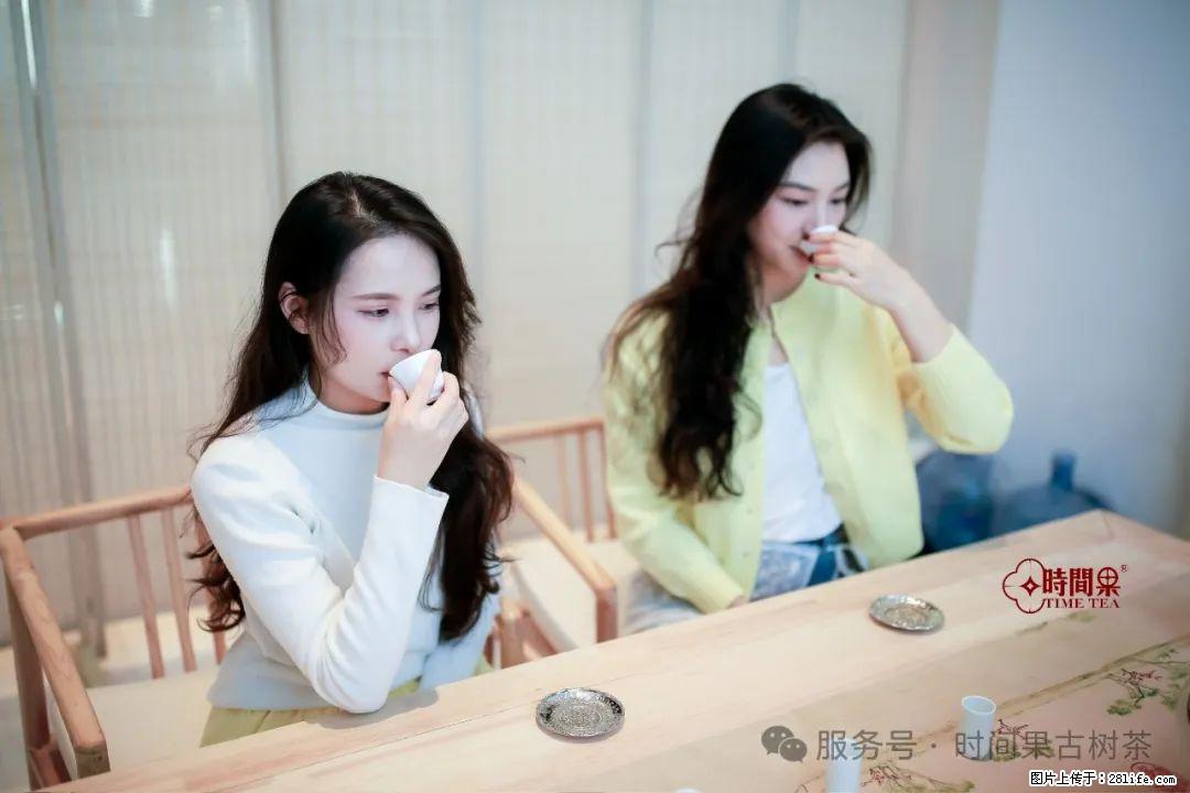 时间果百年古树龙珠普洱生茶 - 购物交流 - 馆陶生活社区 - 馆陶28生活网 guantao.28life.com