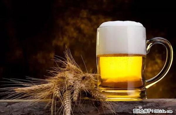 原来它这么毒,然而竟然满大街都是.... - 馆陶生活资讯 - 馆陶28生活网 guantao.28life.com