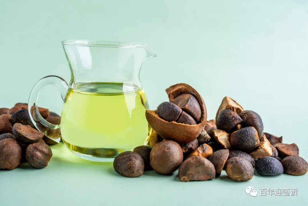 世界没有真相，只有认知，最好的食用油是中国的山茶油！ - 馆陶生活资讯 - 馆陶28生活网 guantao.28life.com