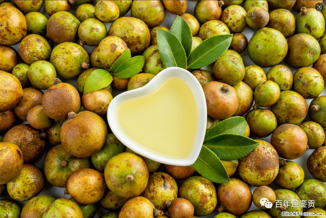 世界没有真相，只有认知，最好的食用油是中国的山茶油！ - 馆陶生活资讯 - 馆陶28生活网 guantao.28life.com