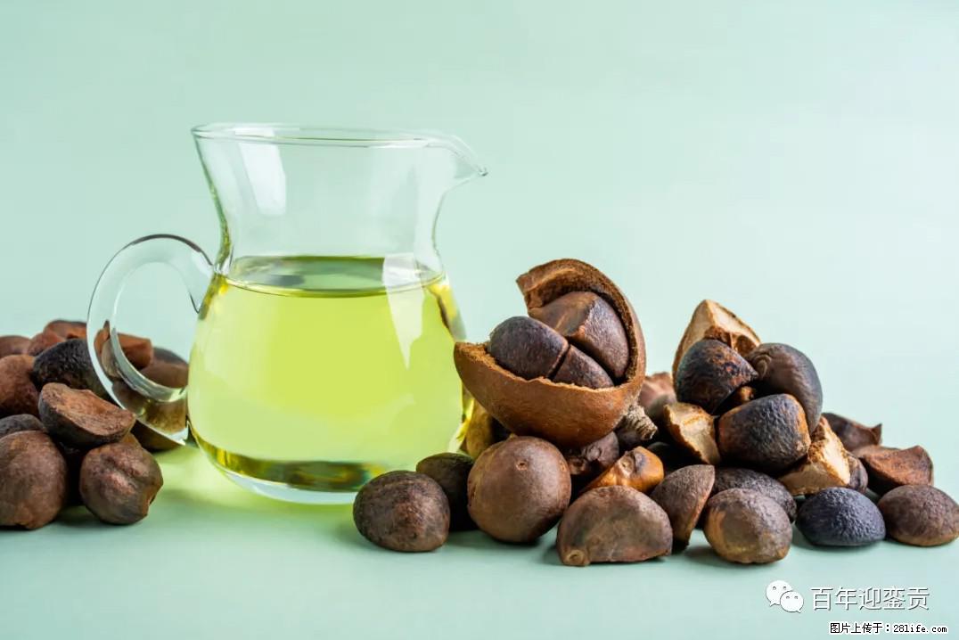 世界没有真相，只有认知，最好的食用油是中国的山茶油！ - 馆陶生活资讯 - 馆陶28生活网 guantao.28life.com
