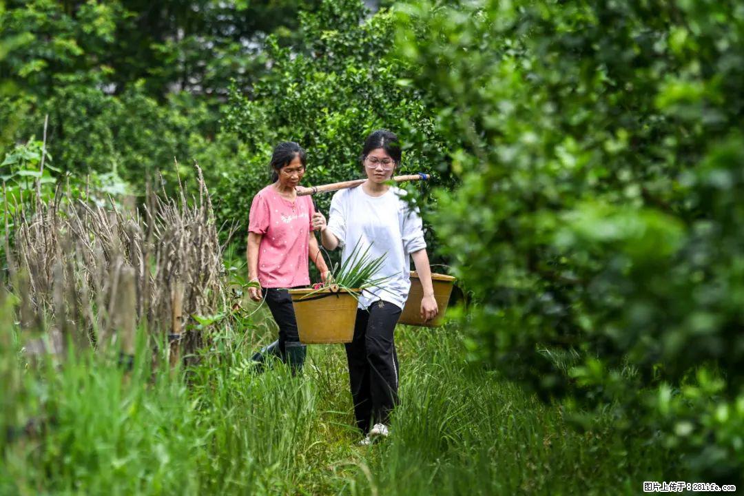 全网追的“扁担女孩”，找了一份暑假工，时薪12元 - 馆陶生活资讯 - 馆陶28生活网 guantao.28life.com