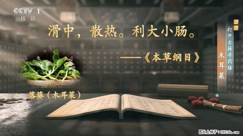 比牛奶补钙还厉害！凉血解毒、稳血糖...这菜冬天必吃，很多人却当草 - 馆陶生活资讯 - 馆陶28生活网 guantao.28life.com