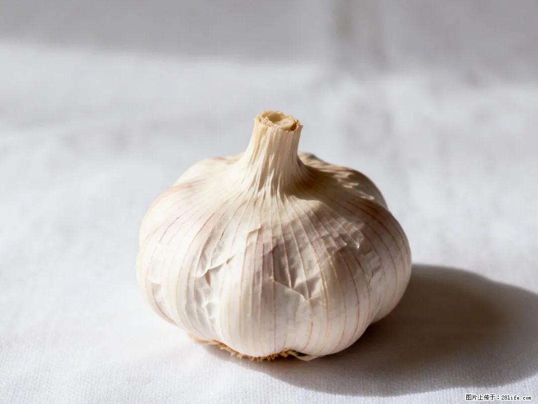 关于大蒜，除了“天然抗生素”，这4个谣言更该警惕! - 馆陶生活资讯 - 馆陶28生活网 guantao.28life.com