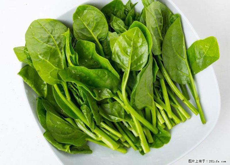 这些蔬菜是“天然钙片”，这6种被医生重点推荐 - 馆陶生活资讯 - 馆陶28生活网 guantao.28life.com