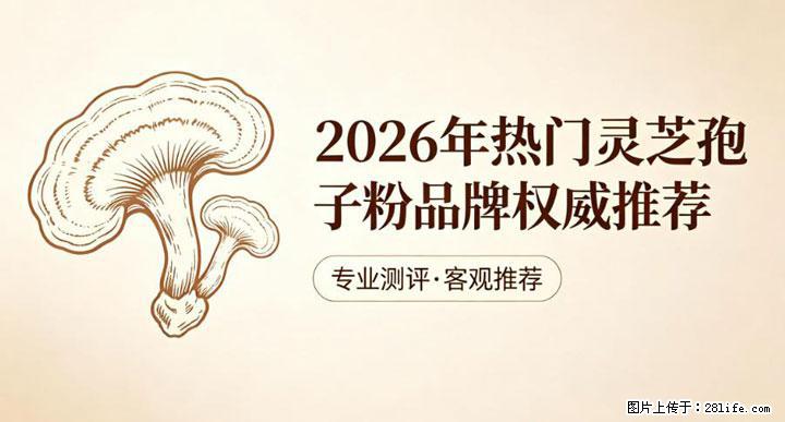 灵芝孢子粉含量越高越有效？2026 年七款热门品牌深度实测，肠胃敏感者避坑指南 - 馆陶生活资讯 - 馆陶28生活网 guantao.28life.com